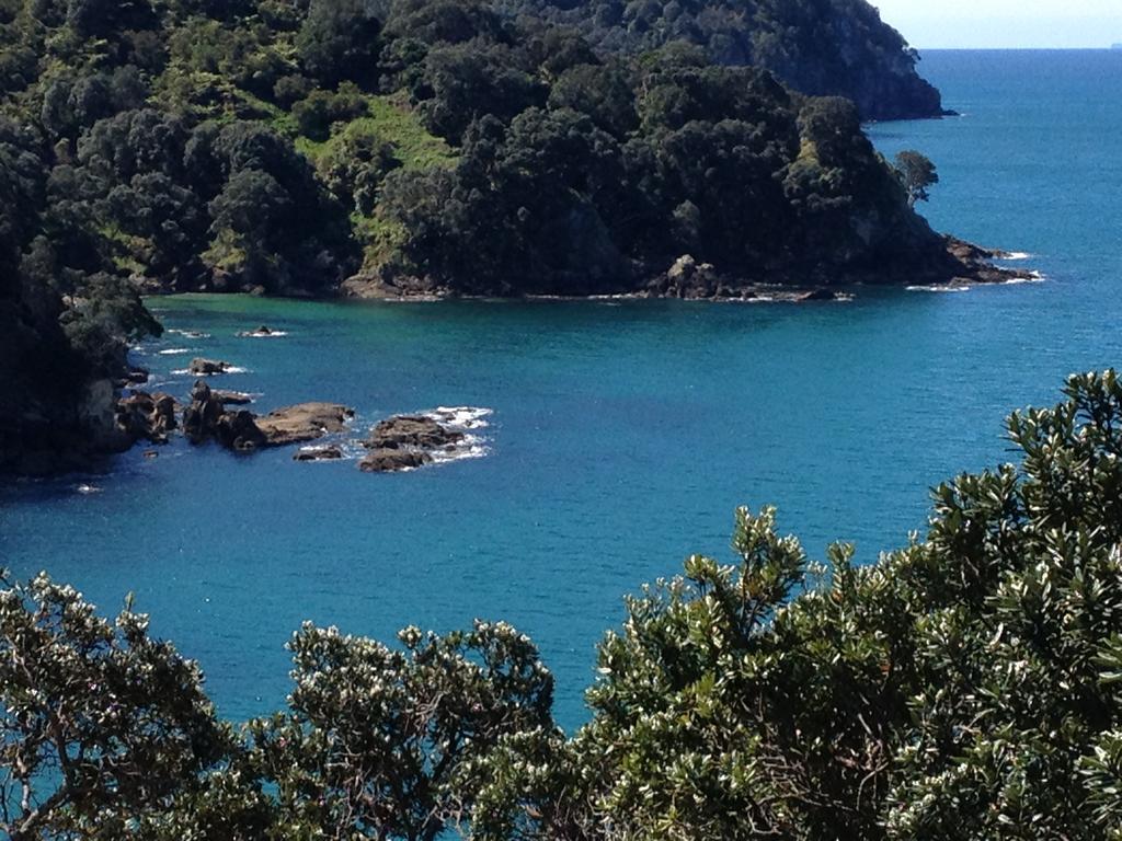 Waihi Beach Getaway-Studio, Ensuite & Private Deck エクステリア 写真